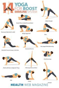 Yoga Asanas Names, Yoga Vector, Fitness Infographic, Relaxing Yoga Poses, Body Stretching, Morning Yoga Routine, Lower Back Pain Exercises, Effective Workout Routines, Learn Yoga