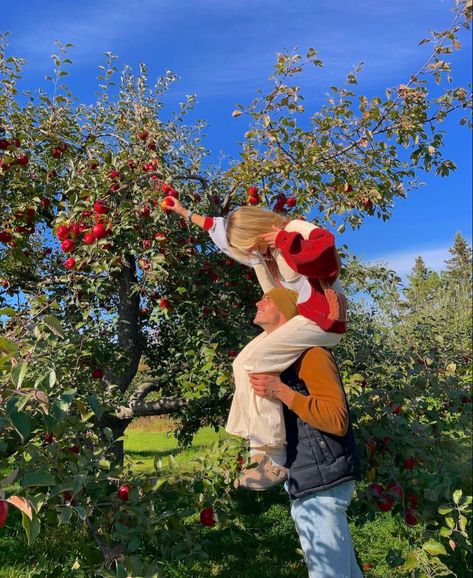 Apple Pickimg Photos, fall photo, fall couple pictures Apple Picking Pictures, Apple Orchard Pictures, Apple Picking Photos, Fall Date Ideas, Fall Couple Pictures, Fall Couple Photos, Pumpkin Patch Pictures, Fall Couple, Fall Dates