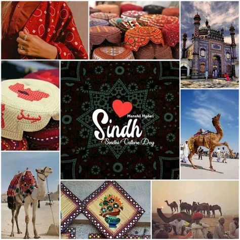 Sindhi Culture Day Videos, Sindhi Culture Day Dpz, Sindhi Culture Day, Sindhi Culture, Cracked Wallpaper, Birthday Posters, People Faces, Culture Day, Happy Birthday Posters