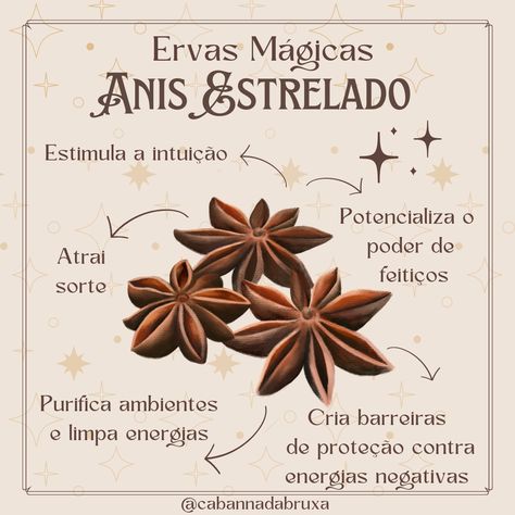 #bruxa #bruxanatural #bruxaria #bruxarianatural #bruxasnoinstagram #instawitch #witch #magia #feitiço #espiritualidade #dicadabruxa Book Of Shadows, Nature, Upcycling, Magia Das Ervas, Which Witch, Natural Magic, Magick Book, Season Of The Witch, Green Life