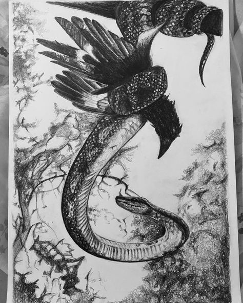 Contradiction Art, Snake Sketch, Crows Drawing, Art Competition Ideas, Nature Scene Tattoo, Snake Drawing, Bird Sketch, Chest Tattoos For Women, Anime Drawing Books