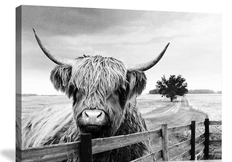 Highland Cow Pictures, Highland Cow Painting, Highland Cow Canvas, Art Top, Cow Wall Art, Highland Cow Print, Cow Pictures, Cow Decor, Cow Canvas