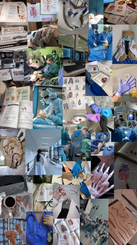 🥼🫁⋆˙⟡⚕🫀🩺⊹🤍🧠 #doctor #dream #wallpaper #inspo #fyp #savelives #study #collages Doctor Dream, Inspo Wallpaper, Dream Wallpaper, Hobbies, Collage