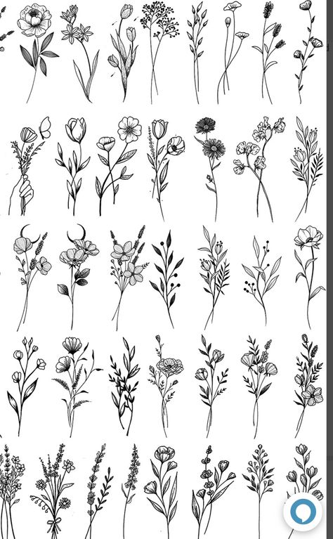 Wild Flowers Line Drawing, Flowers Flash Tattoo, Astilbe Tattoo, Minimalist Flower Tattoo Line Drawings, Wildflower Leg Tattoo, Flower Flash Sheet, Wildflower Tattoos For Women, Floral Flash Tattoo, Minimalistic Flower Tattoo