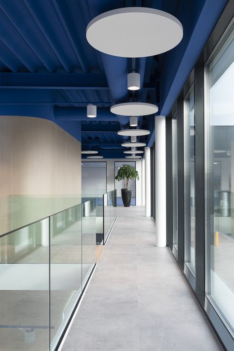 Blue White Office Design, Corridor Office Design, Office Blue Design, Blue And White Office Ideas, Modern Colorful Office Design, Navy And White Office Ideas, Dynamic Office Design, Dark Blue Office Design, Entrance Corridor Design