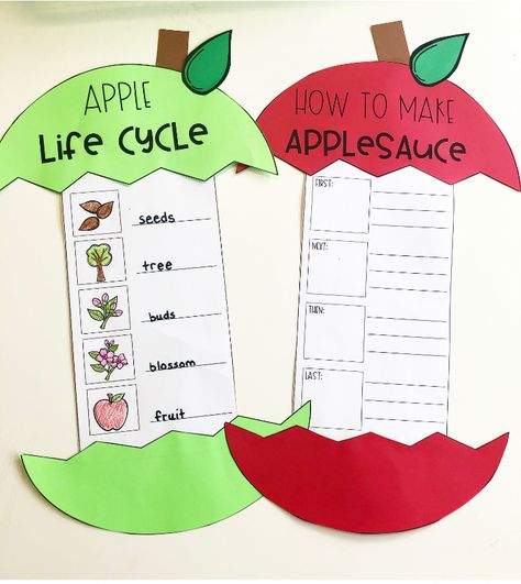 We love celebrating Apple Day in first grade! Check out these ideas for Apple Day Stations and apple activities for the classroom! Read about making easy crockpot applesauce in the classroom, learning about the apple life cycle, completing apple centers, making apple crafts, and learning about Johnny Appleseed! PLUS grab some free apple activity pages for planning your apple unit this year! Make an Apple KWL chart and write some new facts about apples! Perfect for the elementary classroom! Jonny Apple Seed Activities, Apple Investigation First Grade, Apple Theme First Grade, Stem Activities With Apples, Johnny Appleseed 2nd Grade, Apples First Grade Activities, Apple Activities Second Grade, Fall Centers 2nd Grade, October First Grade Activities