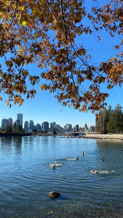 Emigration Aesthetic, Living In Vancouver, Ubc Vancouver Aesthetic, Vancouver Canada Aesthetic, Vancouver Aesthetic, Canada Vibes, Vancouver Beach, Stanley Park Vancouver, Canada Summer