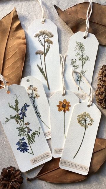 Irene on Instagram: "Handmade bookmarks and gift tags with pressed plants🌿 I always add these cute things to packages🌸 . . #bookmarks #bookmarkswithflowers #gifttags #botanicalgifttags #botanicalbookmarks #pressedflowersart #pressedplantart #handmadecards #cardswithpressedflowers" Kule Ting, Fabric Christmas Ornaments Patterns, Handmade Bookmarks Diy, Christmas Ornaments Patterns, Pressed Flower Crafts, Ornaments Homemade, Folded Fabric Ornaments, Creative Bookmarks, Folded Fabric