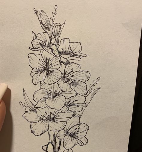 Possible tattoo design Gladiolus Tattoo Thigh, Gladiolus Flower Tattoo Black And White, Gladiolus Hip Tattoo, Gladiolus Tattoo Sleeve, Poppy And Gladiolus Tattoo Design, Gladiolus Spine Tattoo, Gladiolus Flower Tattoo Design, Gladius Flower Tattoo, Gladius Flower