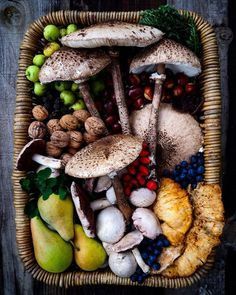 Sacred Garden, Environmentally Friendly Living, Brambly Hedge, Foraged Food, Natural Ecosystem, Veg Garden, Mushroom Fungi, Growing Food, Edible Garden