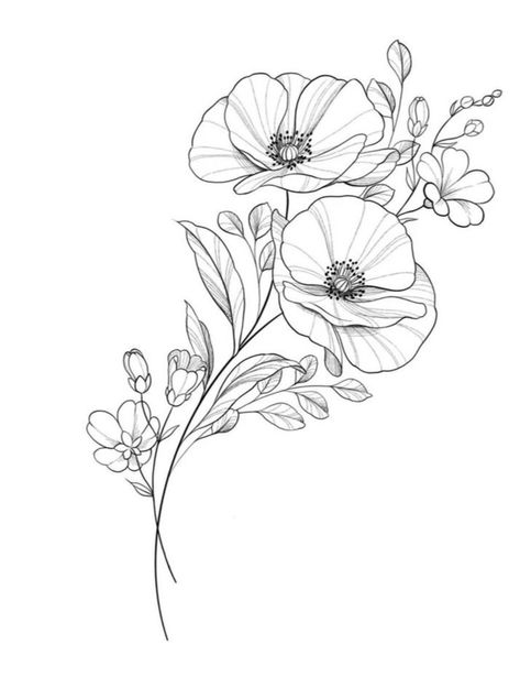 Violet Line Art Tattoo, Poppy Anemone Tattoo, Primrose Line Drawing, Floral Line Drawing Tattoo, Cosmo Line Drawing, Cosmos Drawing Flower, Primrose Flower Tattoo Design, Violets Flower Tattoo, Violets Tattoo Design