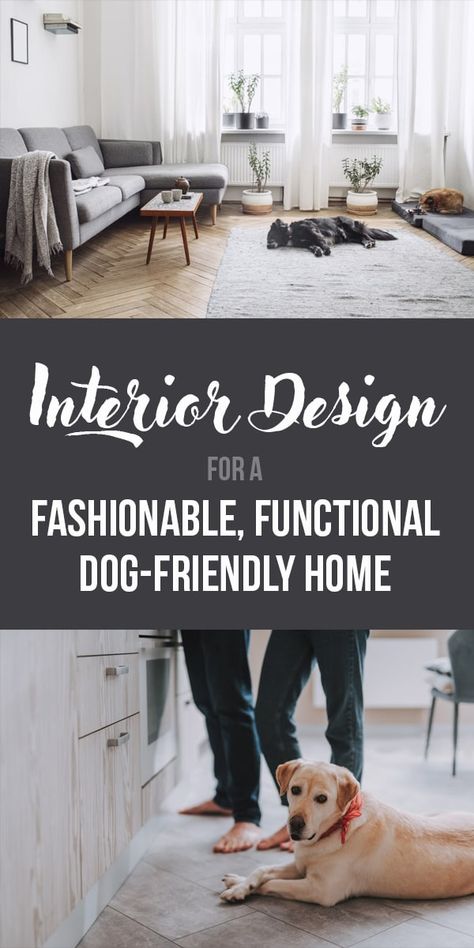 3 Interior Design Tips for a Fashionable, Functional Dog-Friendly Home - The Dogington Post 2 Desk Office, Dog Apartment Living, Top Loader Laundry Room, Pet Friendly Living Room, Farm Hacks, Apartment Dogs, Living With Dogs, Dog Spaces, Colorful Hairstyles