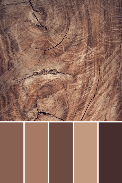 Wood Tone Color Palette, Oak Colour Palette, Wood Colors Palette, Sandstone Color Palette, Wood Color Pallete, Rustic Color Pallete, Natural Wood Color Palette, Angel Ties, Rustic Color Palette For Home