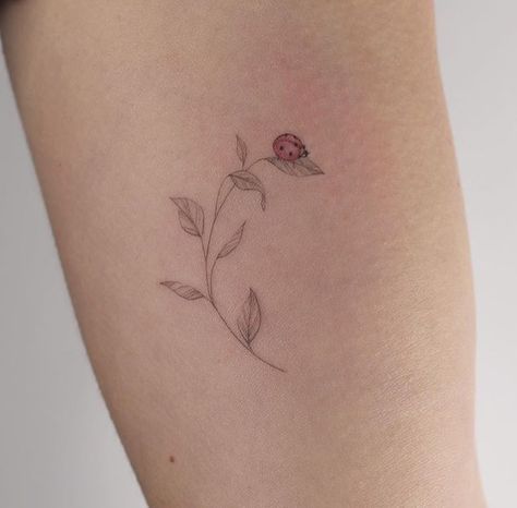 Simplistic Ladybug Tattoo, Ladybug On Lavender Tattoo, Ladybug Tattoo Small Minimalist, Ladybugs Tattoo Ideas, Tattoos With Ladybugs, Pink Ladybug Tattoo, Three Ladybugs Tattoo, Ladybug On Plant Tattoo, Tattoo Ideas Female Ladybug