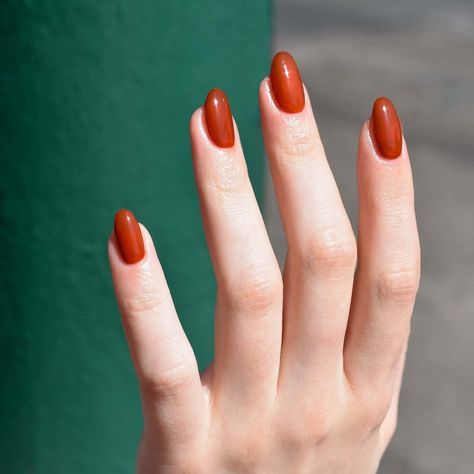 Toucan Play This Game is a rusty orange brown. • Hello Birdie nail polishes are a highly pigmented, soft-as-silk creamy formulation, delivering even coverage with a brilliant shine. • 10-Free. Cruelty Free. Vegan. • Made with 🖤 in California. 🌞 Dark Orange Nails, Orange Red Nails, Terracotta Nails, Colored French Nails, Red Orange Nails, Pretty Nail Polish Colors, Orange Acrylic Nails, Orange Nail, Shape Nails