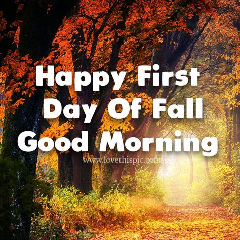 First Day Of Fall Quotes, Fall Quotes Aesthetic, 1st Day Of Autumn, Grandparents Quotes, Autumn Woods, First Day Of Autumn, Fall Quotes, Good Morning Happy Sunday, First Day Of Fall