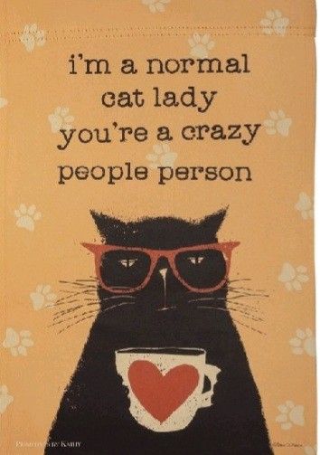 Cat Person Quotes, Cat Quotes Funny, Black Cat Art, Cat Quotes, Cat Posters, Cat Person, Cat Aesthetic, Cat Decor, Crazy Cat