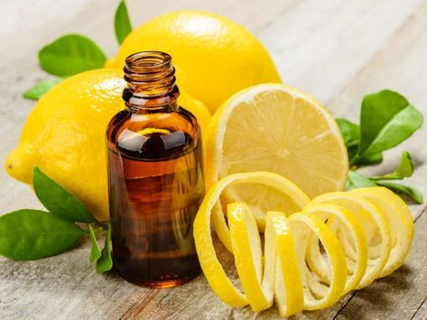 The health benefits of lemon oil can be attributed to its stimulating, calming, carminative, anti-infection, astringent, detoxifying, antiseptic, disinfectant, sleep inducing, and antifungal properties. These benefits of lemon oil include its ability to treat stress disorders, fever, infections, asthma, over weight, insomnia, skin disorders, hair disorders, stomach problems and tiredness. Jus Lemon, Oils For Sinus, Lemon Health Benefits, Essential Oils For Colds, Lemon Benefits, Essential Oils For Skin, Lemon Oil, Astringent, Best Essential Oils