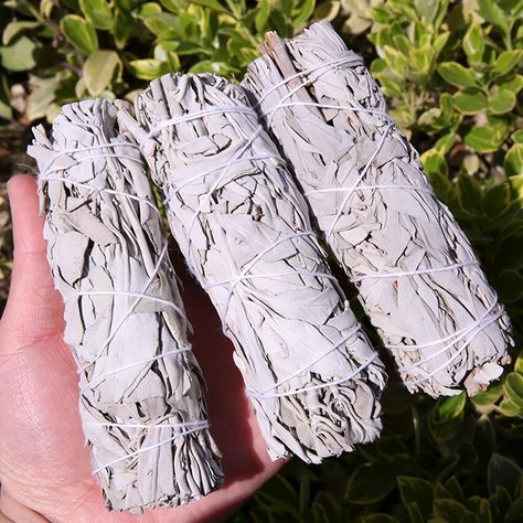 Faster shipping. Better service Incense Packaging, Sage Smudge, White Sage Smudge, Earthy Fragrance, Burning Incense, Energy Cleanse, Healing Meditation, Smudge Sticks, White Sage