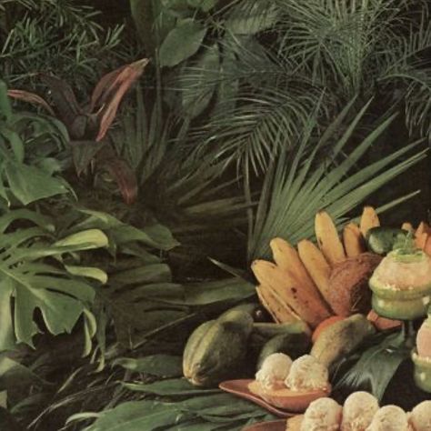 pauline on Twitter: "… " 70s Aesthetic, Plant Aesthetic, Foto Vintage, Island Girl, Tropical Vibes, Nature Aesthetic, Aesthetic Vintage, Green Aesthetic, Island Life