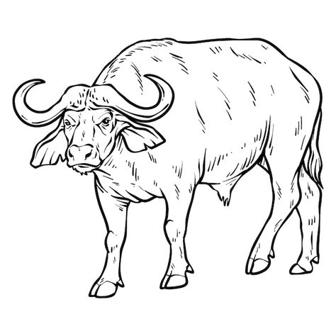 Free vector hand drawn buffalo outline i... | Free Vector #Freepik #freevector #animal-outline #outline #line-art #animal-drawing Buffalo Line Drawing, Buffalo Line Art, Buffalo Outline, Buffalo Sketch, Bull Sketch, Buffalo Illustration, Buffalo Drawing, Buffalo Animal, Animal Outline