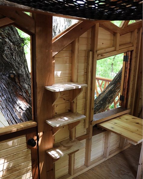 Dutch door, bookshelves, and a fold-up table inside the treehouse. Door Bookshelves, Custom Treehouse, Treehouse Design, Tree House Interior, Design Stairs, Tree House Plans, Tree Fort, Tree House Diy, Tree House Kids