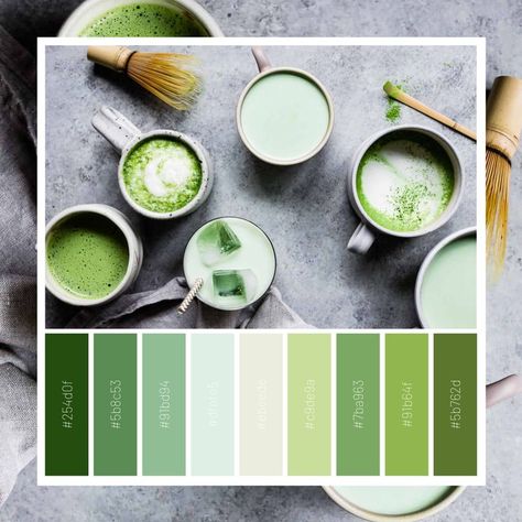 Matcha Palette, Matcha, Color Palette, Tableware, Color