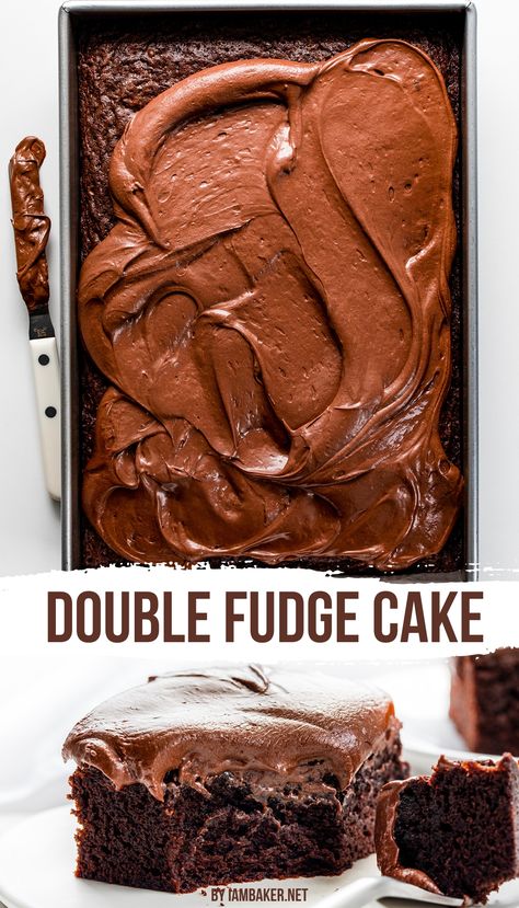 A double fudge cake, mostly frosted, with a spatula on the side.  A piece of cake with a bite taken out sits on a white plate. Double Fudge Cake, Double Fudge Chocolate Cake, Double Chocolate Cake Recipe, The Best Chocolate Frosting, Best Chocolate Frosting, Chocolate Lovers Cake, Chocolate Desserts Cake, Double Chocolate Cake, Desserts Cake