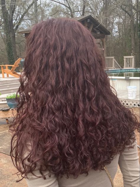 Very Dark Burgundy Hair, Dark Brown And Red Curly Hair, Mahogany Hair Color On Curly Hair, Burgundy On Curly Hair, Dark Reddish Brown Curly Hair, Natural Red Highlights In Brown Hair Curly, Dark Red Hair Aesthetic Curly, Maroon Hair Color With Highlights, Burgundy Brown Curly Hair