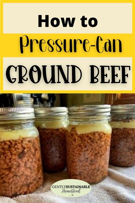 Even wondered if you could pressure can raw ground beef? Well, the answer is YES! I love having home-canned ground beef on the shelf for quick meals, let me show you how to do it, step by step! Want to learn how to can ground beef for quick meals? Look no further! #cangroundmeat Can Ground Beef, Winter Canning, Canning Chili, Pressure Canning Meat, Canning Meat, Easy Canning, Pressure Canning Recipes, Ground Venison, Fermented Pickles