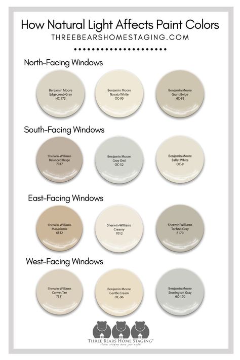 Best Light Colors For Bedroom, Neutral Paint Color Schemes, Big Bathroom Paint Colors, Paint Ideas Kitchen Walls, Light And Airy Color Palette For Home, East Facing Window Paint Colors, Natural Wall Colors Paint, Beige Paint Bedroom Ideas, Bm Cocoa Butter Paint