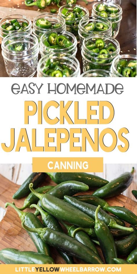 Water Bath Jalapenos, Pepper Pickles, Pickled Jalapeno Recipe, Canning Veggies, Canning Jalapeno Peppers, Pickled Jalapeno Peppers, Canned Jalapenos, Pickled Jalapenos, Cowboy Candy