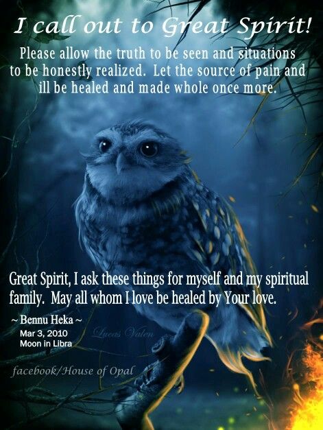 Cosmic Quotes, Shadow Work Spiritual, Owl Wisdom, Spirit Animal Totem, Spiritual Animal, Native American Wisdom, Animal Spirit Guides, Spiritual Warrior, Magic Spell Book