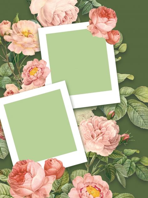 Frame Floral Photograph Flower Background Two Frames Background, Floral Frame Background Flower, Background For Frame, Cute Photo Frames, Picture Frame With Flowers, Background Photo Frame, Flower Frame Background, Photo Frame Background, Yellow Flower Photos