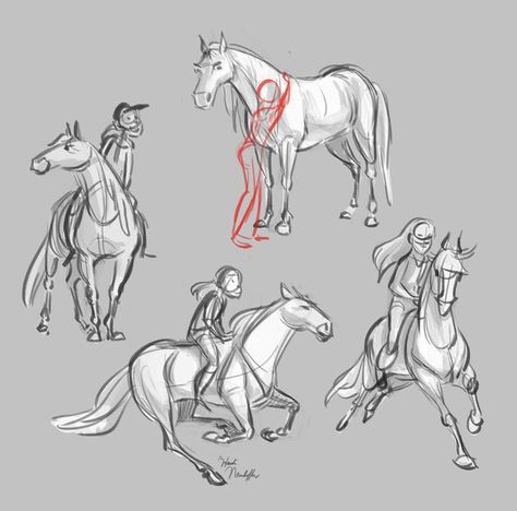 Ride Drawing, Horse Art Drawing, Horse Reference, Armor Drawing, Horse Sketch, Horse Anatomy, Sketch Poses, Riding Horse, Body Reference Drawing