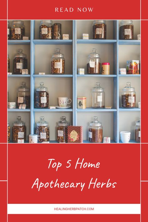 Start your journey to creating an amazing home apothecary with these top 5 herbs for your kitchen. Not only can these powerful herbs be used for cooking, but they also play a crucial role in your natural medicine cabinet. From soothing chamomile to versatile thyme, discover the best ways to plant, pick, and use these kitchen-handy herbs. They're not only easy to grow but bring wellness right into your home. Learn how to fill your apothecary jars with beauty and benefits - your health will thank you! Starter Apothecary Herbs, Homeopathic Medicine Cabinet, Medicine Shelf, Herbs To Heal, Apothecary Herbs, Herbs List, Natural Medicine Cabinet, Herbal Steam, Slippery Elm Bark