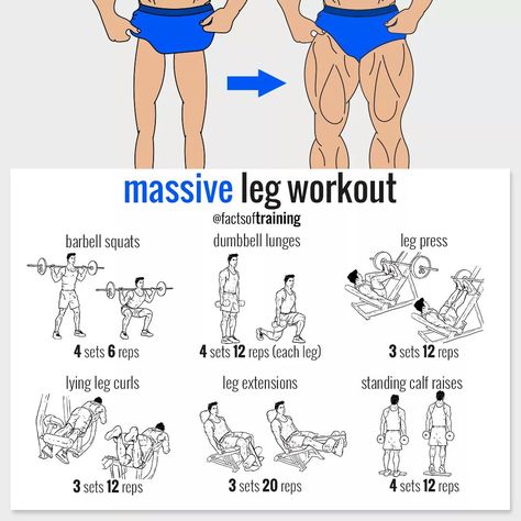 Massive Leg Workout Leg Workout For Men, Best Bicep Workout, Leg Workouts For Men, Motivație Fitness, Muscle Abdominal, Leg Workouts, Barbell Workout, Muscle Building Workouts, Weight Training Workouts