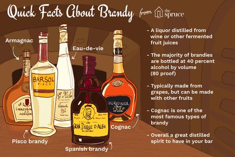 Brandy 101: Characteristics of a Timeless Liquor Brandy Drinks, Brandy Liquor, Grape Brandy, Brandy Sauce, Brandy Cocktails, Grape Uses, Cherry Brandy, Birthday Drinks, Mixed Drinks Recipes