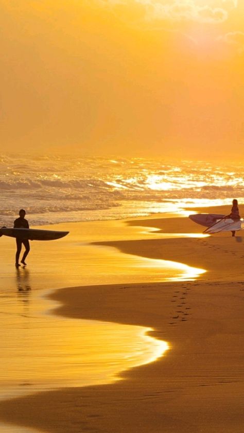 Yellow Sunshine Aesthetic, Ocean Golden Hour, Sun Yellow Aesthetic, Sunset Yellow Aesthetic, Yellow Beach Aesthetic, Giallo Aesthetic, Yellow Scenery, Yellow Ocean, Surfing Aesthetic