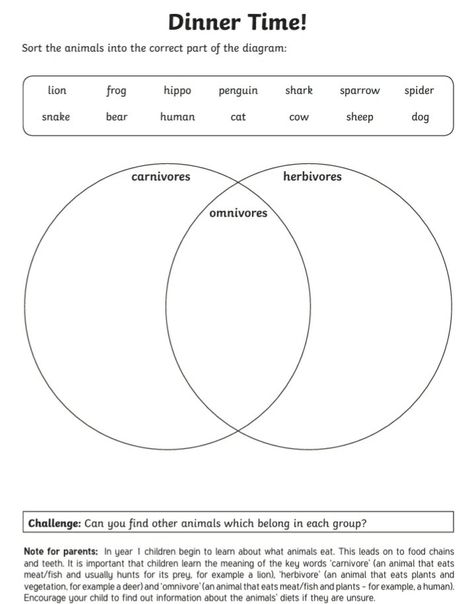 Identify And Name Animals, Carnivores, Herbivores and Omnivores. °Name that animal °Animal Sorting °Animal Bodies Home Learning Homeschool Worksheets Printables Omnivores Carnivores Herbivores, Omnivore Carnivore Herbivore Worksheet, Carnivore Herbivore Omnivore Worksheets, Herbivore Carnivore Omnivore Activities, Comparative And Superlative Adverbs, Micro Teaching, Provocation Ideas, Pangolin Art, Animal Sorting