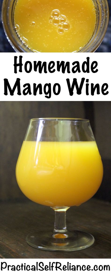 Homemade Mango Wine Recipe for the future offspring of the 2018 Mele Kalikimaka Mango Tree Mead Making, Mango Wine, Survival Knowledge, Homemade Liquors, Wine Making Recipes, Homemade Wine Recipes, Mead Wine, Mead Recipe, Wine Crafts