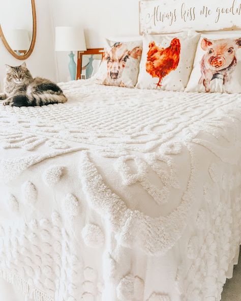 Vintage Chenille Bedspreads, Chinelle Bedspread, Bedspread Ideas Cozy Bedroom, Cream Bedspread, Bedspread Ideas, Cannonball Bed, Vintage Bedding Set, Gray Bedspread, White Bedspreads