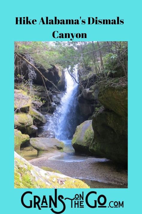 Hike Alabama's Dismals Canyon on a day trip from Birmingham. #travelover50 #retireetravel #travelalabama #gransonthego Dismals Canyon Alabama, Dismals Canyon, Alabama Travel, Beautiful Park, Amazing Travel Destinations, Best Hikes, Gulf Coast, Family Vacation, Day Trip