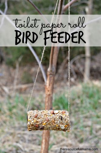 Reuse toilet paper rolls to make homemade bird feeders. This is a great Earth Day project for kids. Toilet Paper Roll Bird Feeder, Paper Roll Bird Feeder, Toilet Paper Roll Bird, Recycled Crafts For Kids, Bird Feeder Craft, Earth Week, Crafts Simple, Earth Day Projects, Fun Summer Crafts