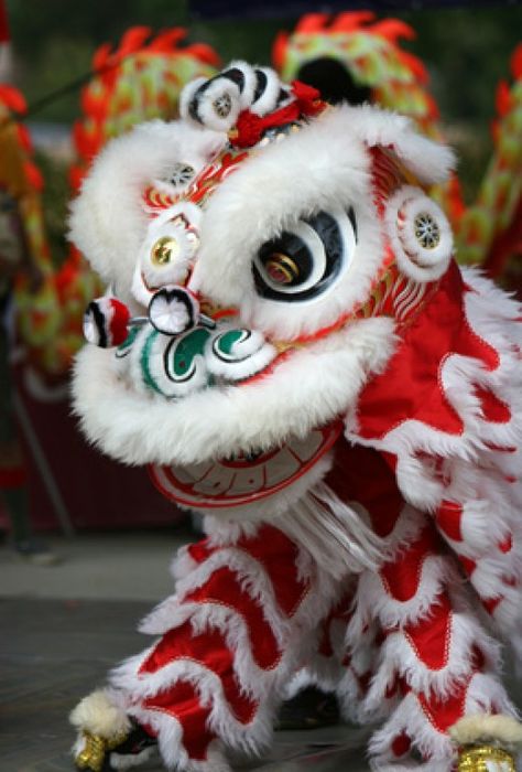 Image:  cphoto - Fotolia.com Chinese Parade, Lion Dance Costume, Chinese New Year Parade, Chinese New Year Traditions, Lion Dragon, Chinese New Year Crafts For Kids, Chinese Lion Dance, Chinese New Year Food, Chinese Theater