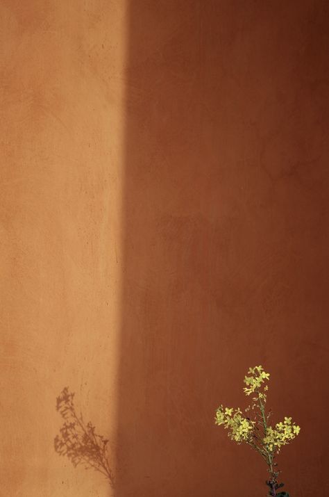 Lime Wash Walls, Limewash Walls, Limewash Paint, Lime Paint, Washing Walls, Terracotta Wall, Orange Tones, Orange Walls, Clay Wall