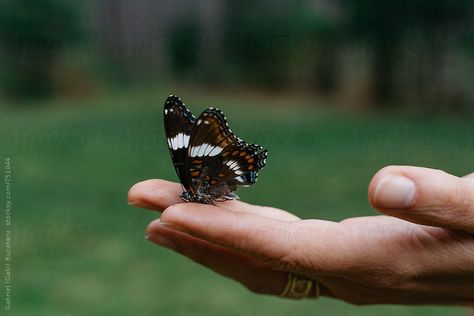 Holding Butterfly, How To Draw Fingers, Show Of Hands, Hand Photography, Hands Holding, Colorful Butterfly, Heart Melting, Colorful Butterflies, Holding Hands