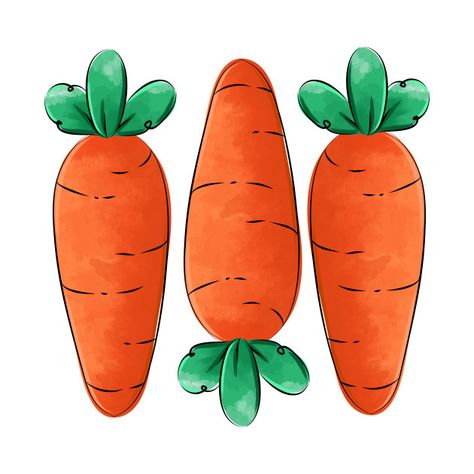 Cute Carrot Drawing, Painted Carrots, Carrot Watercolor, Carrot Clipart, Carrot Cartoon, Carrot Drawing, Carrot Art, Carrot Design, Garden Mural