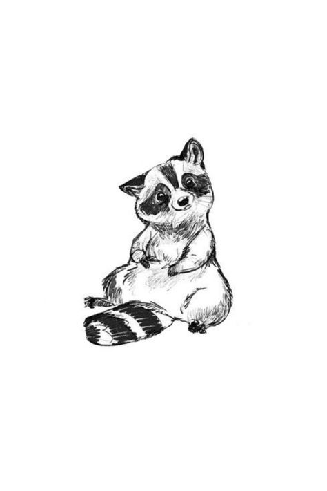 Raccoon Anatomy Drawing, Raccoon Hand Tattoo, Best Friend Raccoon Tattoos, Cartoon Raccoon Tattoo, Tattoo Ideas Raccoon, Raccoon Tattoo Cute, Cute Raccoon Drawing Simple, Cute Raccoon Art, Racoon Tattoo Simple