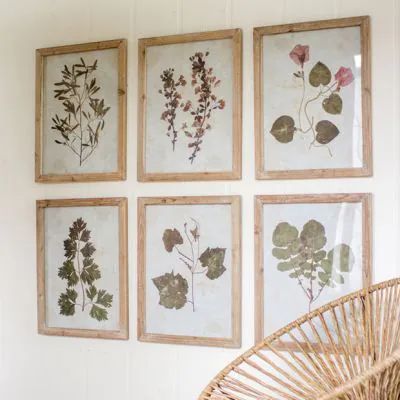 HARVEST MOON | Shop Sales Events Antique Farmhouse Painted Fox Home, Framed Leaves, Rustic Wood Frame, Antique Farmhouse, Farmhouse Wall, Art Print Set, At Home Store, Glass Wall Art, Leaf Prints